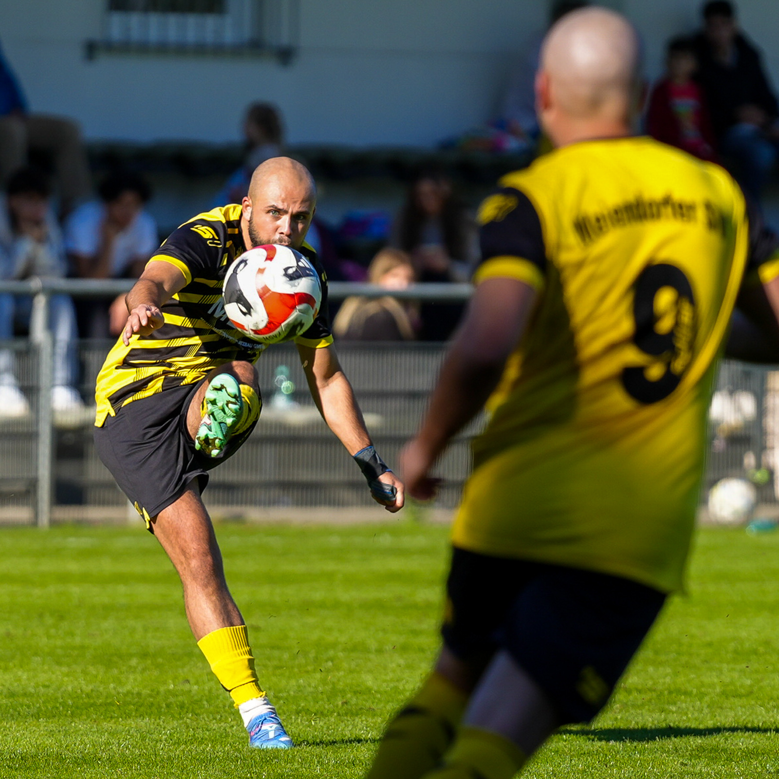 Volley im Sonnenlicht